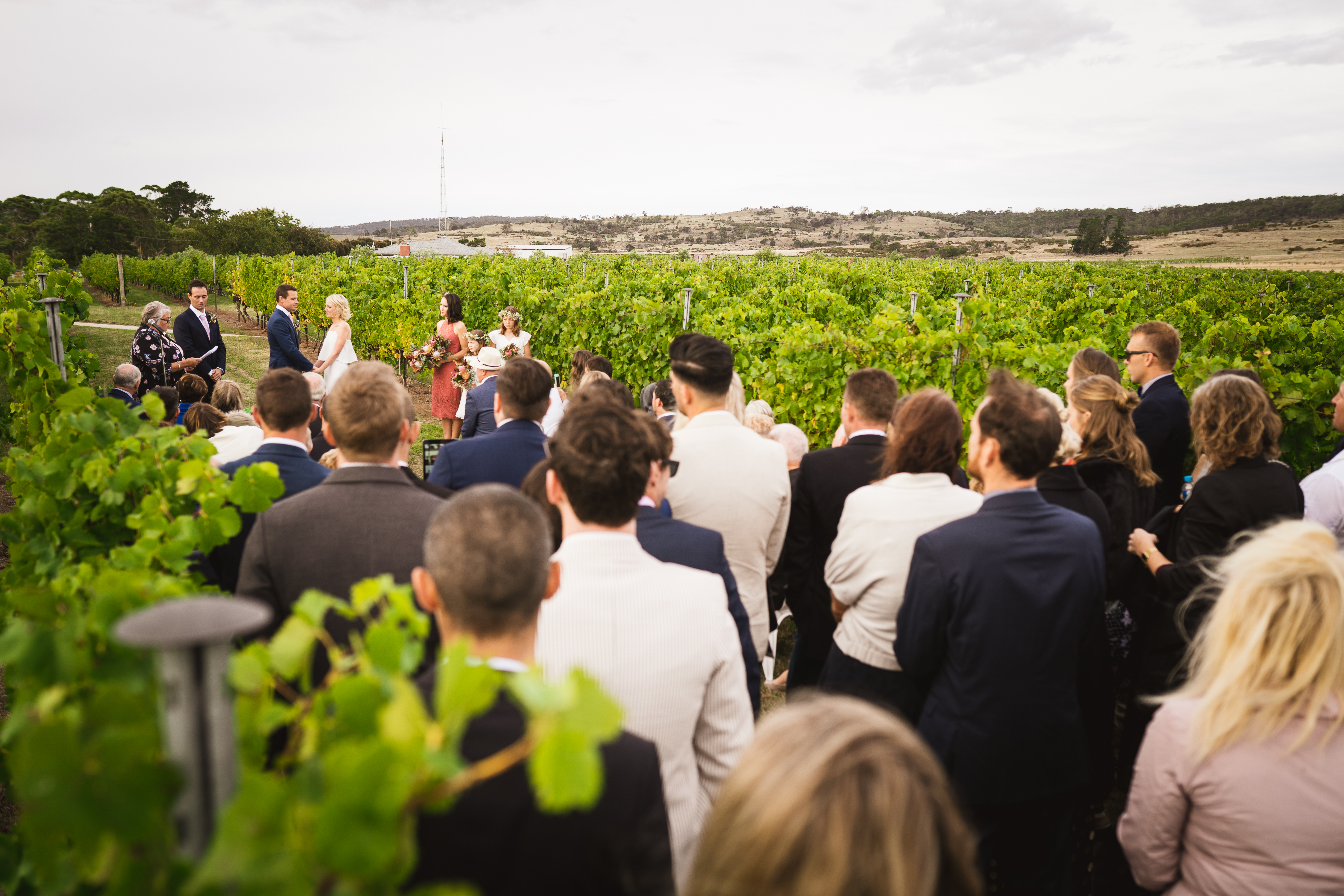 Craigie Knowe Vineyard